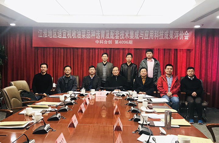 江淮地区适宜机收油菜品种选育及配套技术集成与应用 anli.jpg